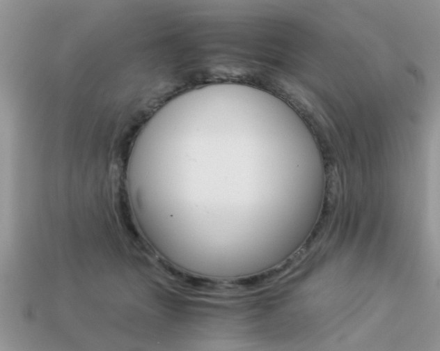 X0000113220463200909100926