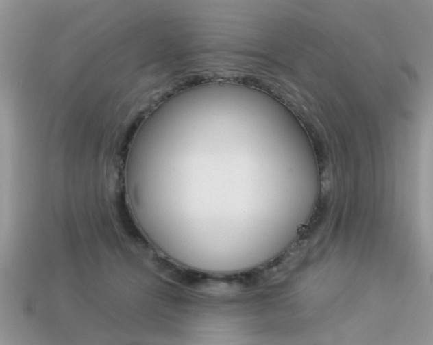X0000113220464200909100926