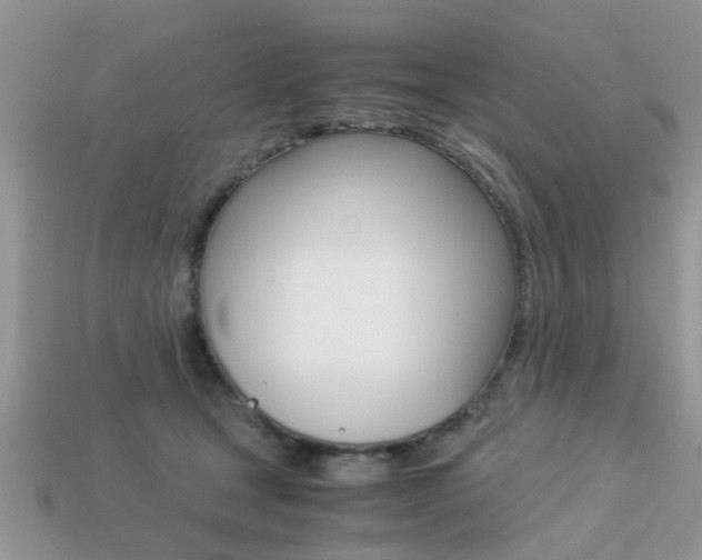 X0000113220465200909100926