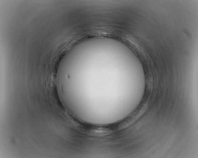 X0000113220467200909100926