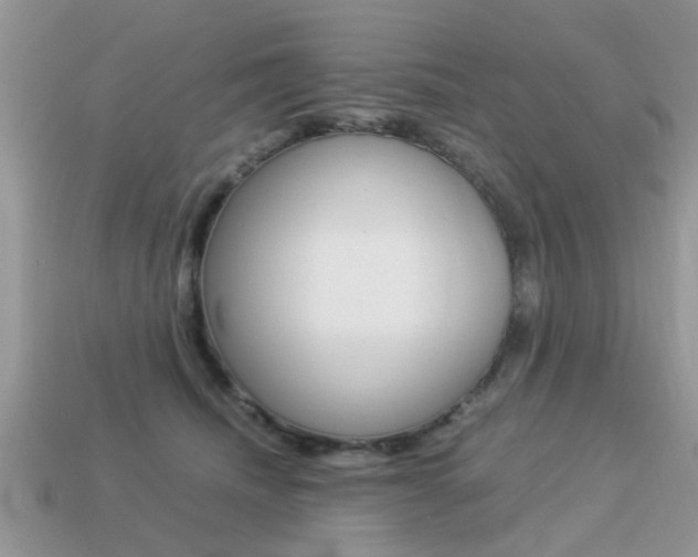 X0000113220468200909100926