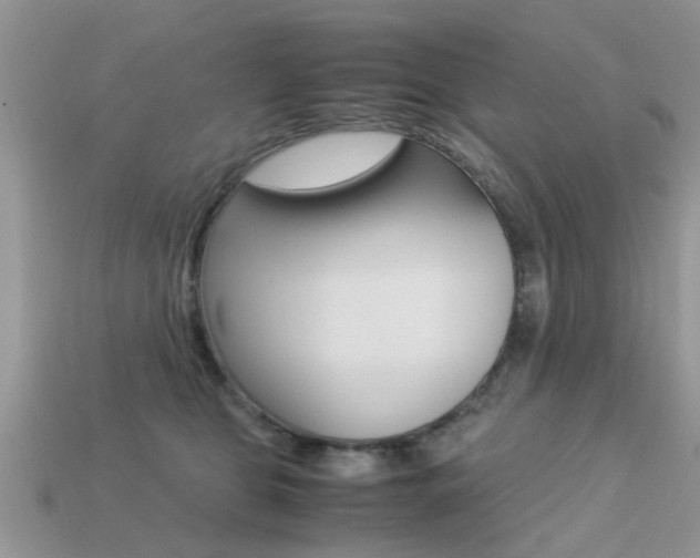 X0000113220469200909100926
