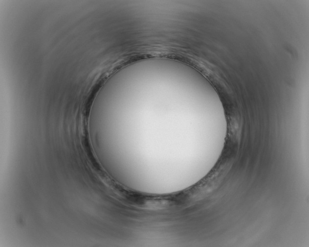 X0000113220470200909100926