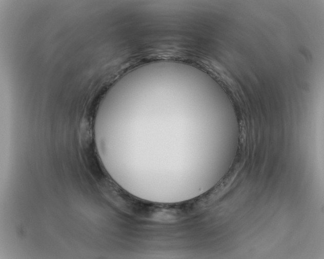 X0000113220471200909100926