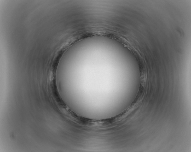 X0000113220472200909100926