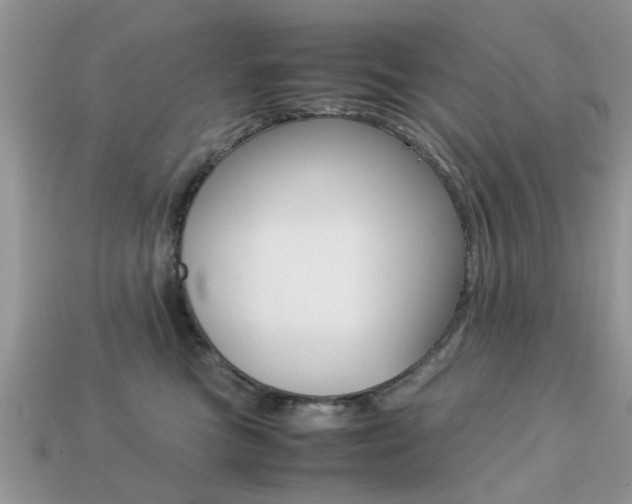 X0000113220473200909100926