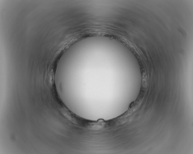 X0000113220474200909100926