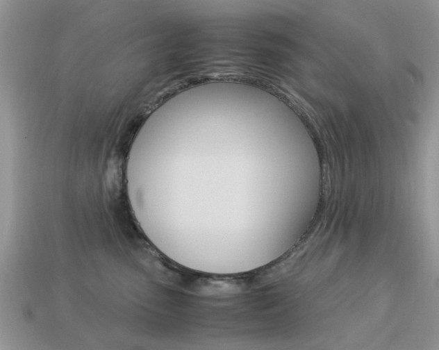 X0000113220475200909100926