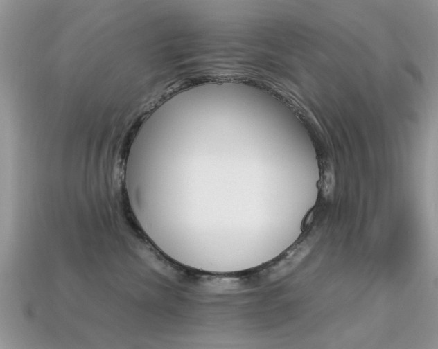 X0000113220476200909100926