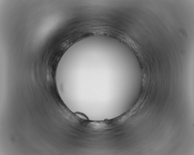X0000113220477200909100926