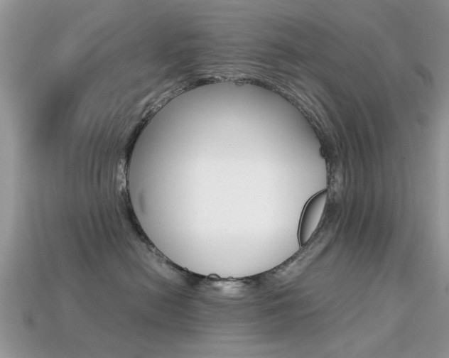 X0000113220478200909100926