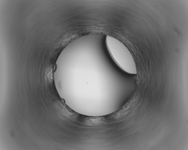 X0000113220479200909100926