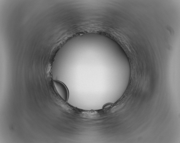 X0000113220480200909100926