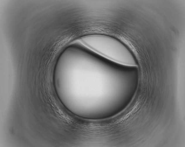 X0000113220481200909100926