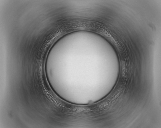 X0000113220482200909100926