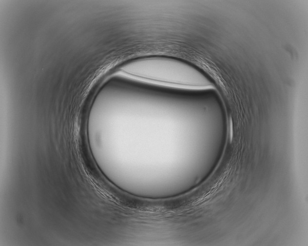 X0000113220483200909100926