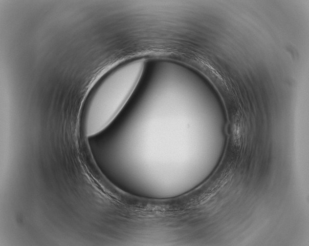 X0000113220484200909100926