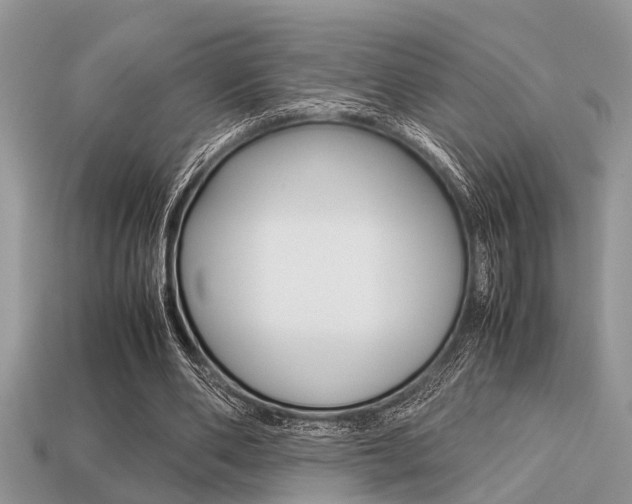 X0000113220486200909100926