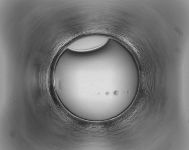 X0000113220487200909100926