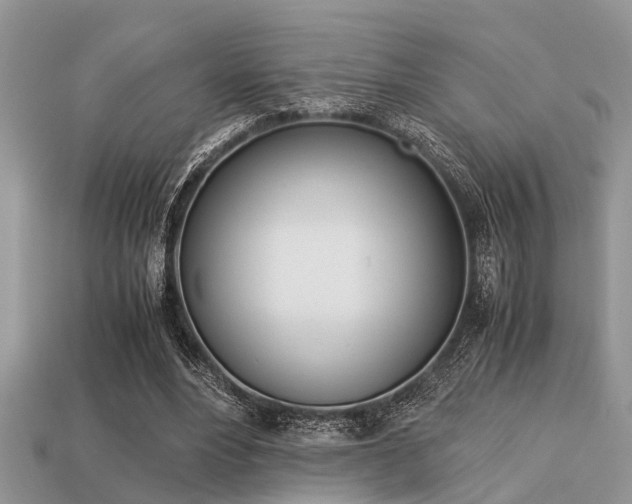 X0000113220488200909100926