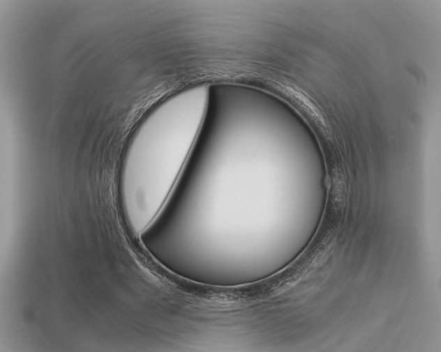 X0000113220489200909100926