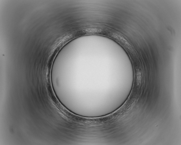 X0000113220490200909100925