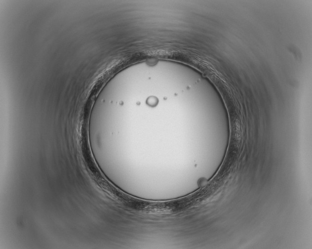 X0000113220491200909100925