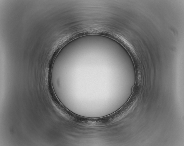 X0000113220493200909100925