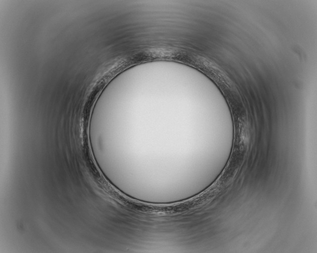 X0000113220494200909100925