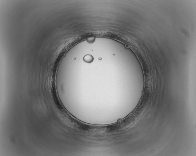 X0000113220495200909100925
