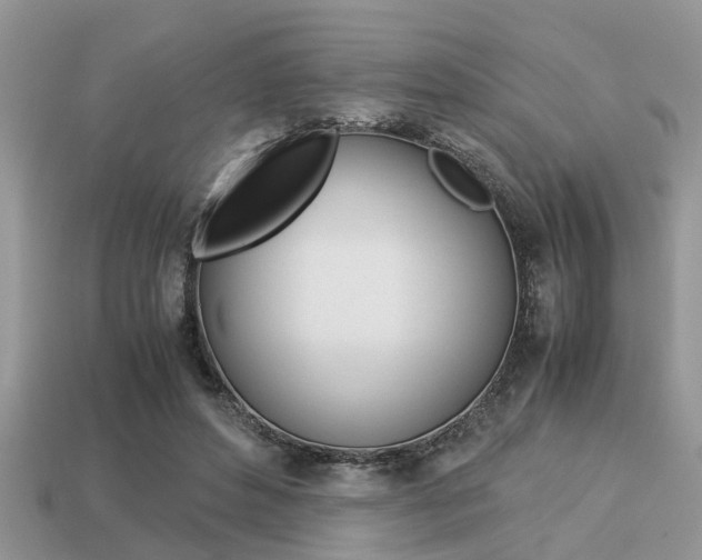 X0000113220496200909100925