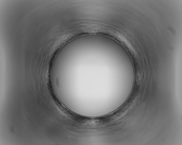 X0000113220497200909100925