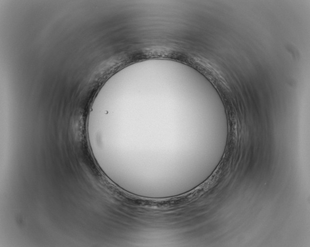X0000113220498200909100925