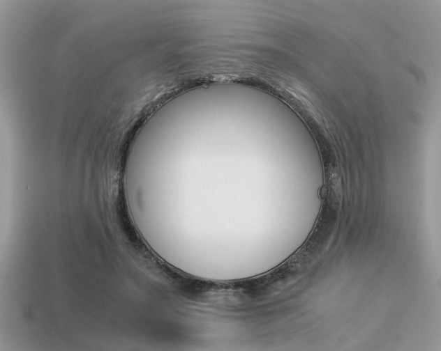 X0000113220499200909100925