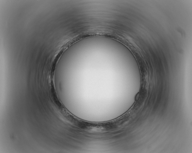 X0000113220500200909100925