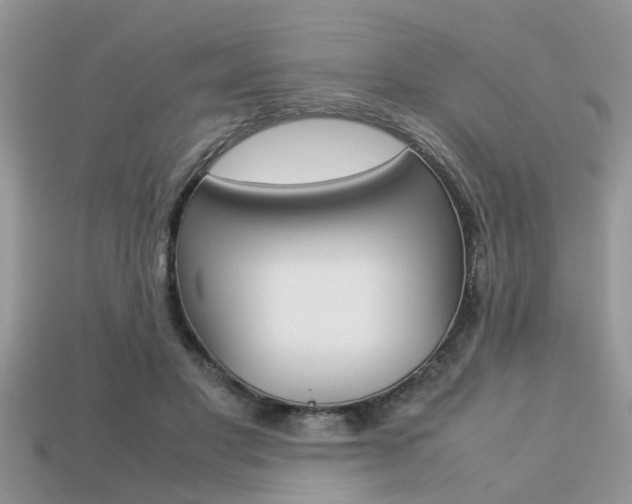 X0000113220501200909100925