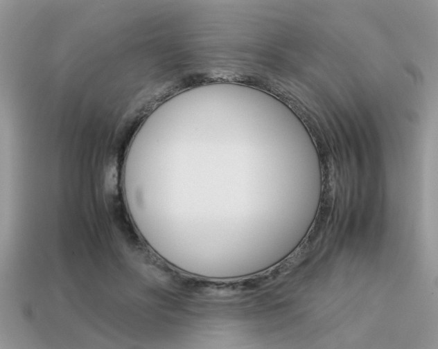 X0000113220502200909100925