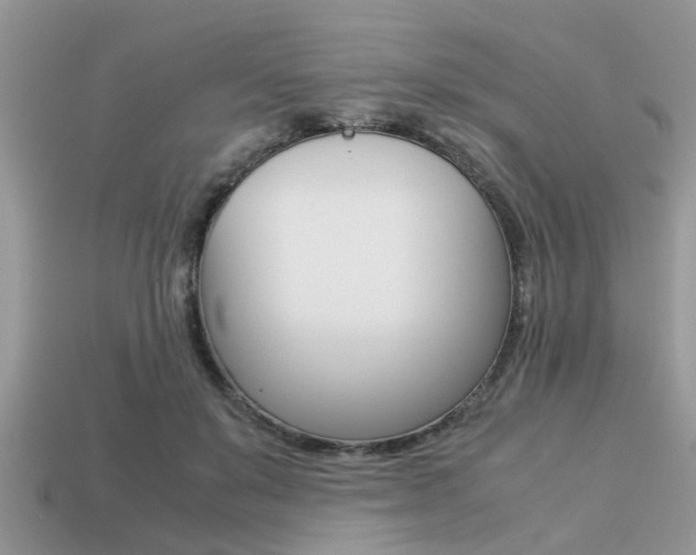X0000113220503200909100925