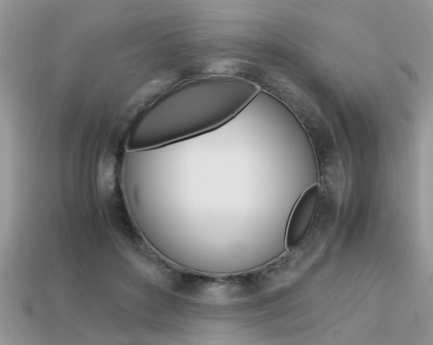X0000113220504200909100925