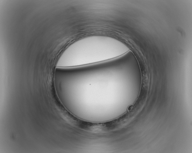X0000113220505200909100925