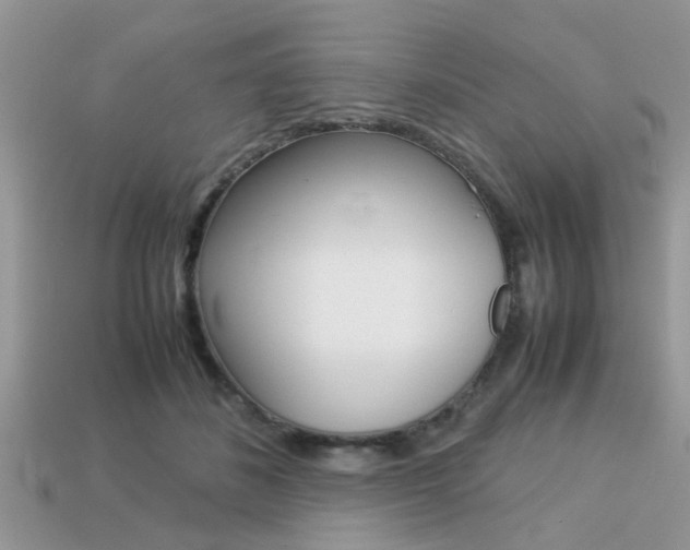 X0000113220508200909100925