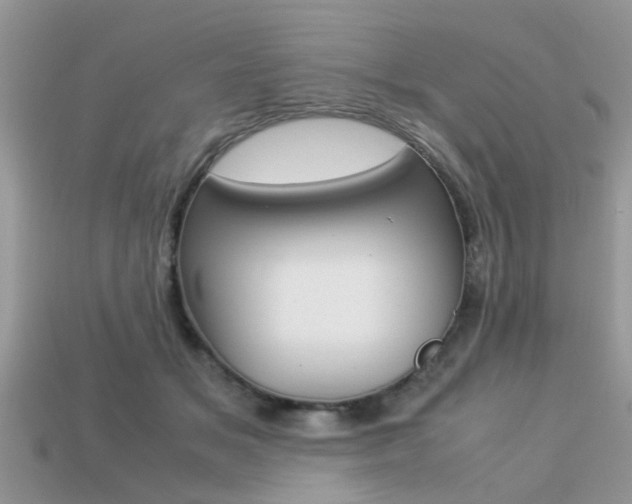 X0000113220509200909100925