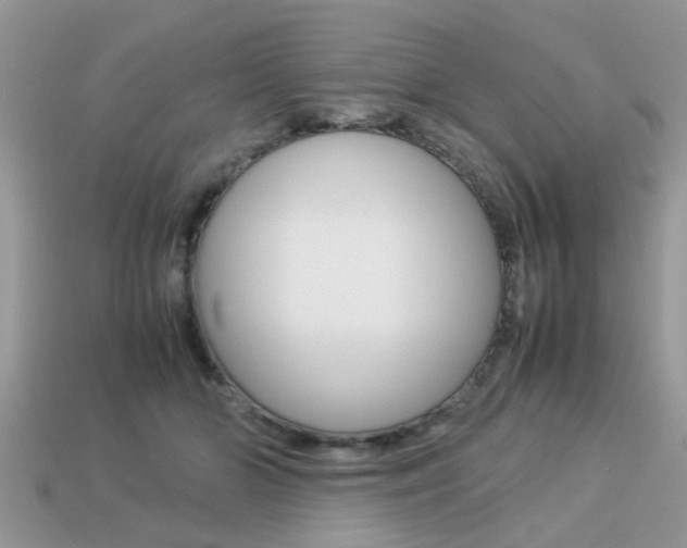 X0000113220510200909100925