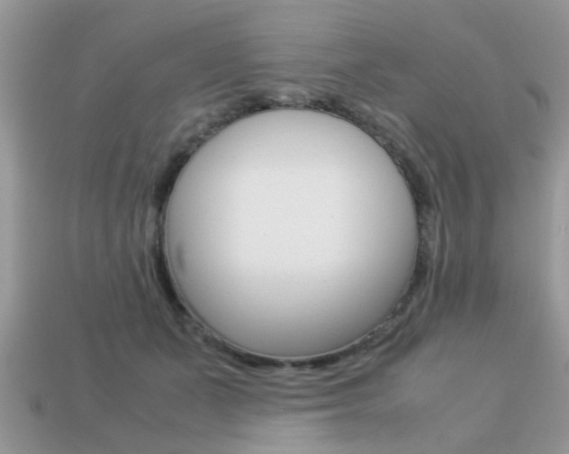 X0000113220511200909100925