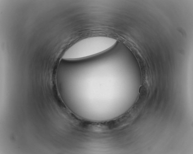 X0000113220512200909100925