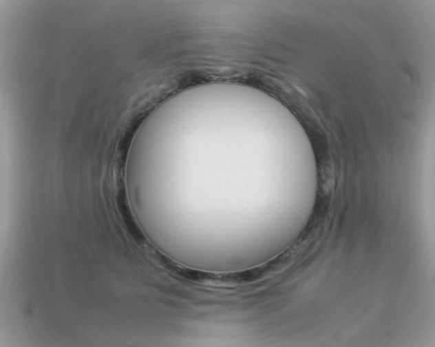 X0000113220515200909100925