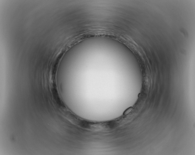 X0000113220516200909100925