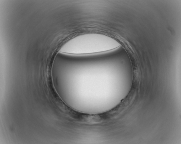 X0000113220517200909100925