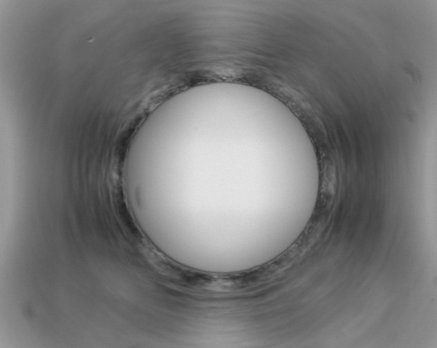 X0000113220518200909100925