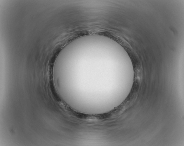 X0000113220519200909100925